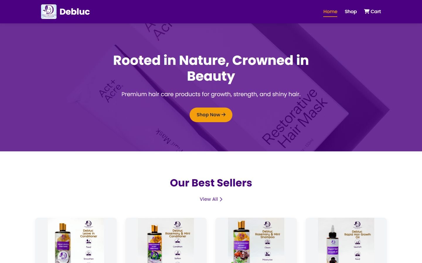 Deblucha Ir Essentials website preview