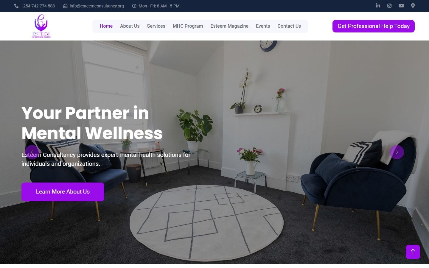 Esteem Consultancy website screenshot