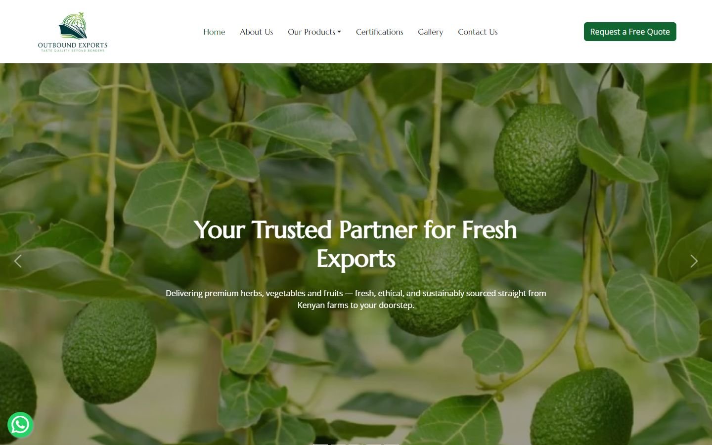 Outbound Exports website screenshot